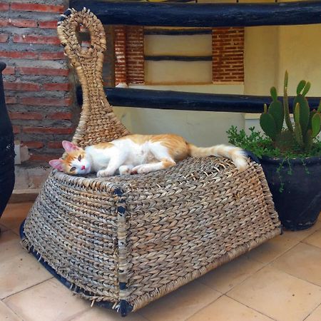 Riad Nejma Lounge Маракеш Екстериор снимка