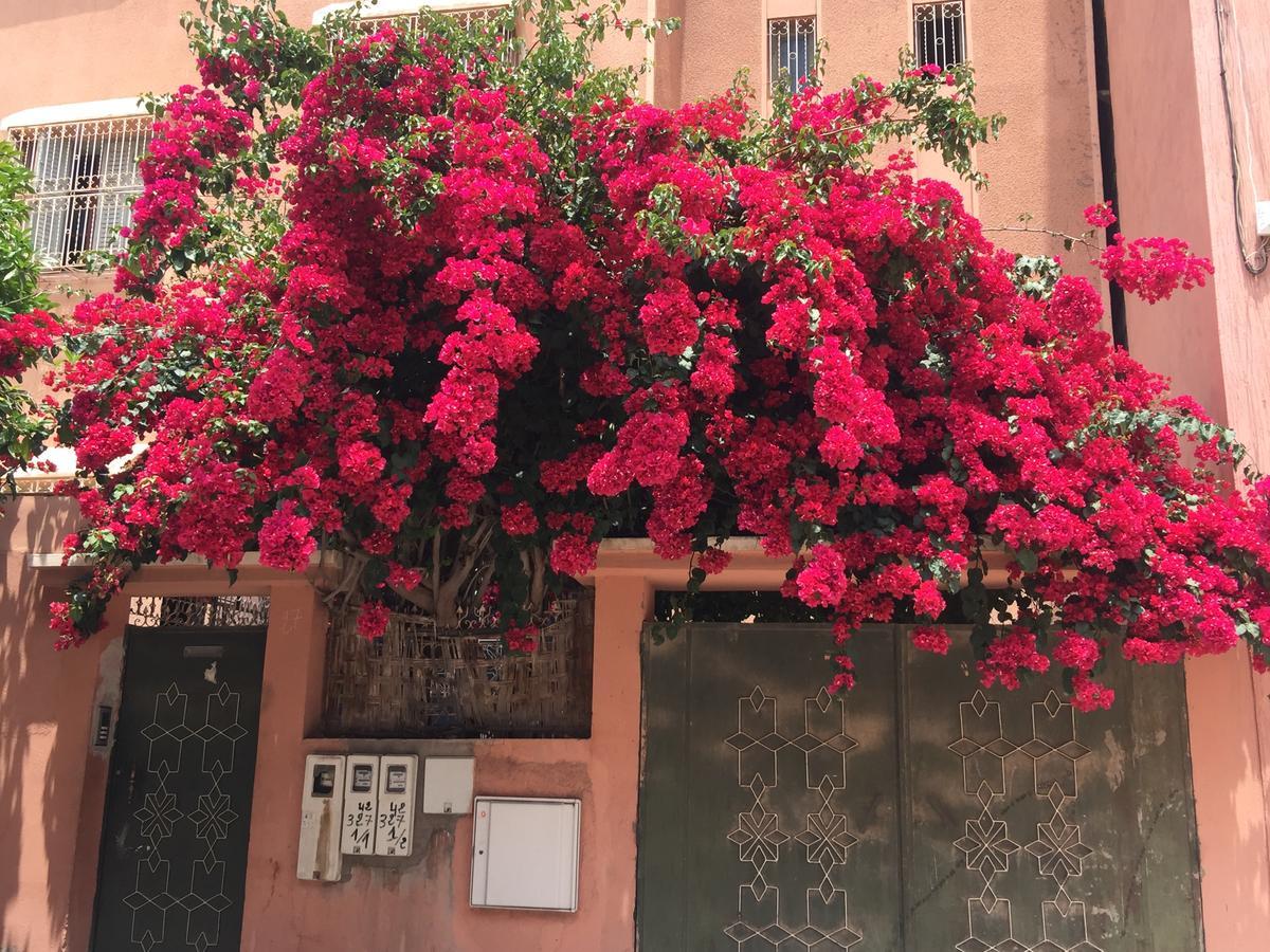 Riad Nejma Lounge Маракеш Екстериор снимка