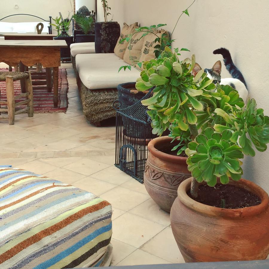 Riad Nejma Lounge Маракеш Екстериор снимка